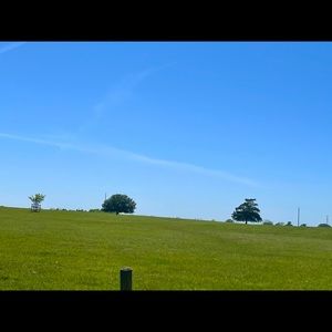 Meet your Posher, Maggie